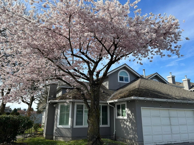 30 - 9731 Capella Drive