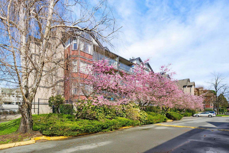 D205 - 4845 53 Street