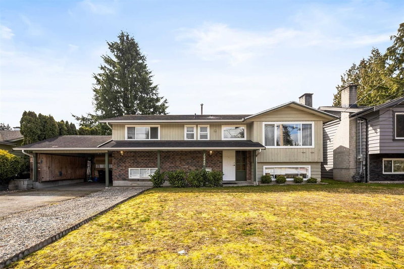 Basement - 19486 117 Avenue