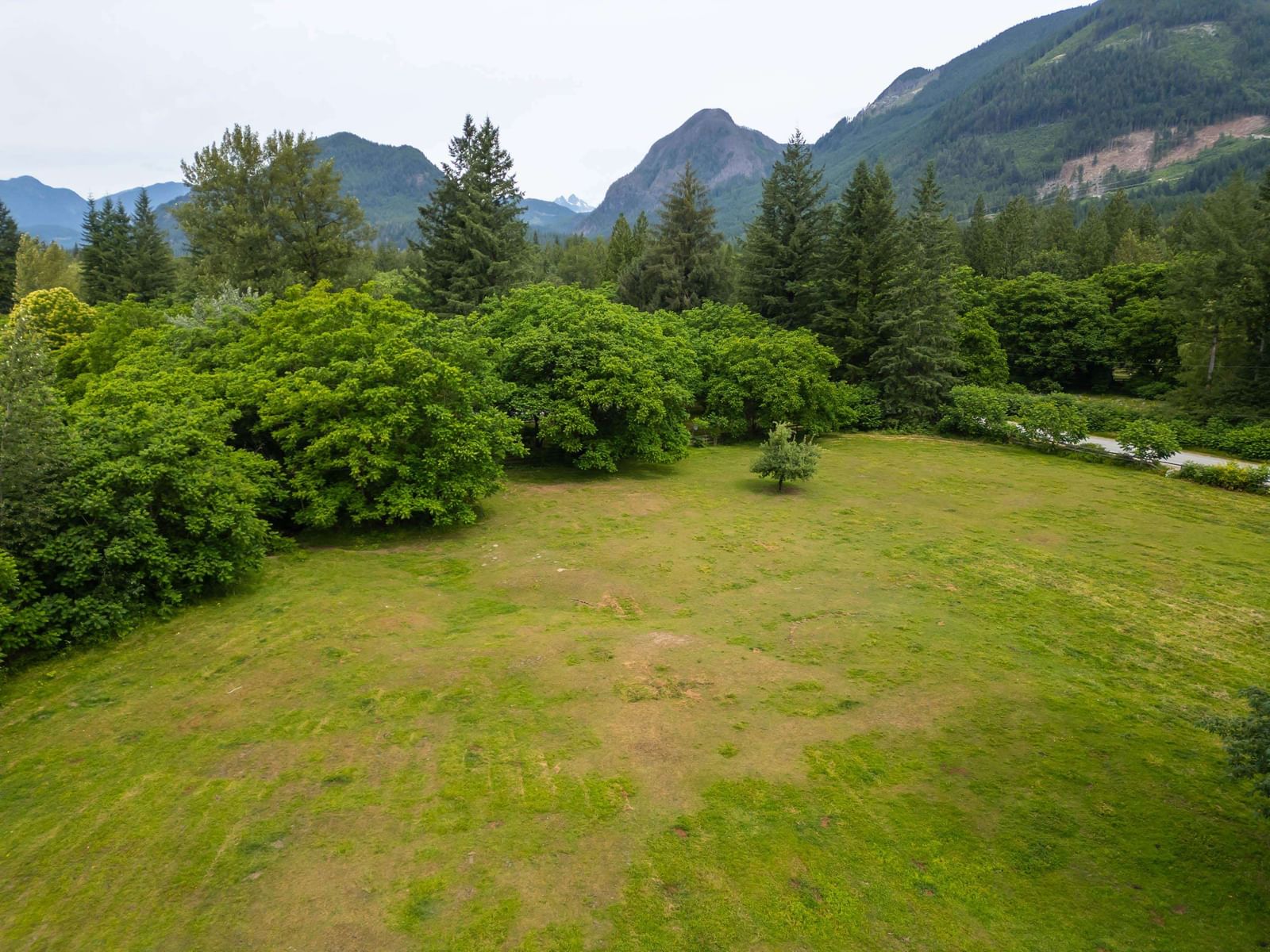 Listing Image 39