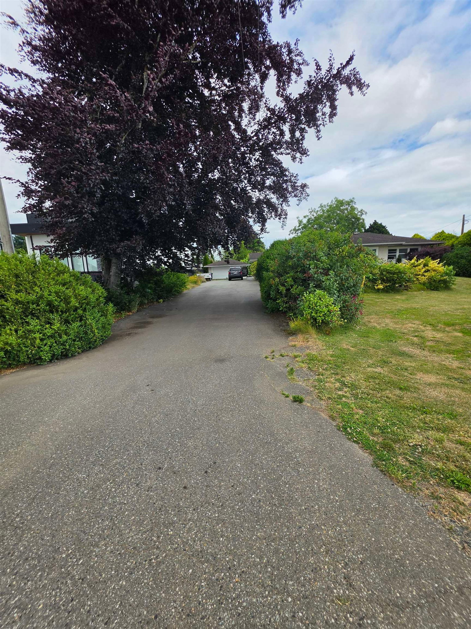 Listing Image 28