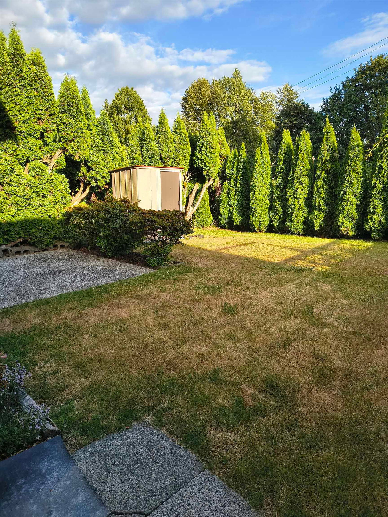 Listing Image 17