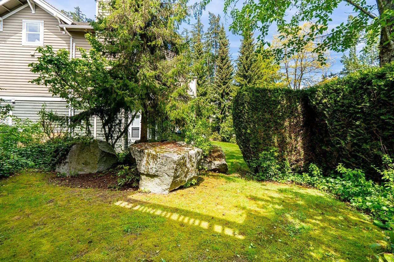Listing Image 28