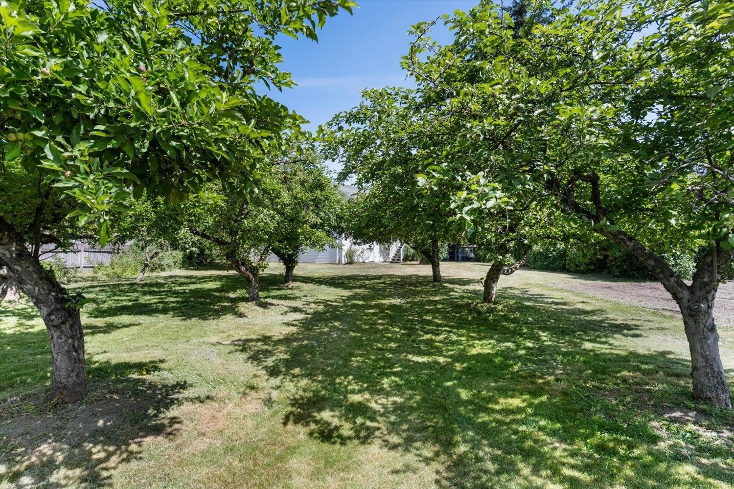 Listing Image 34