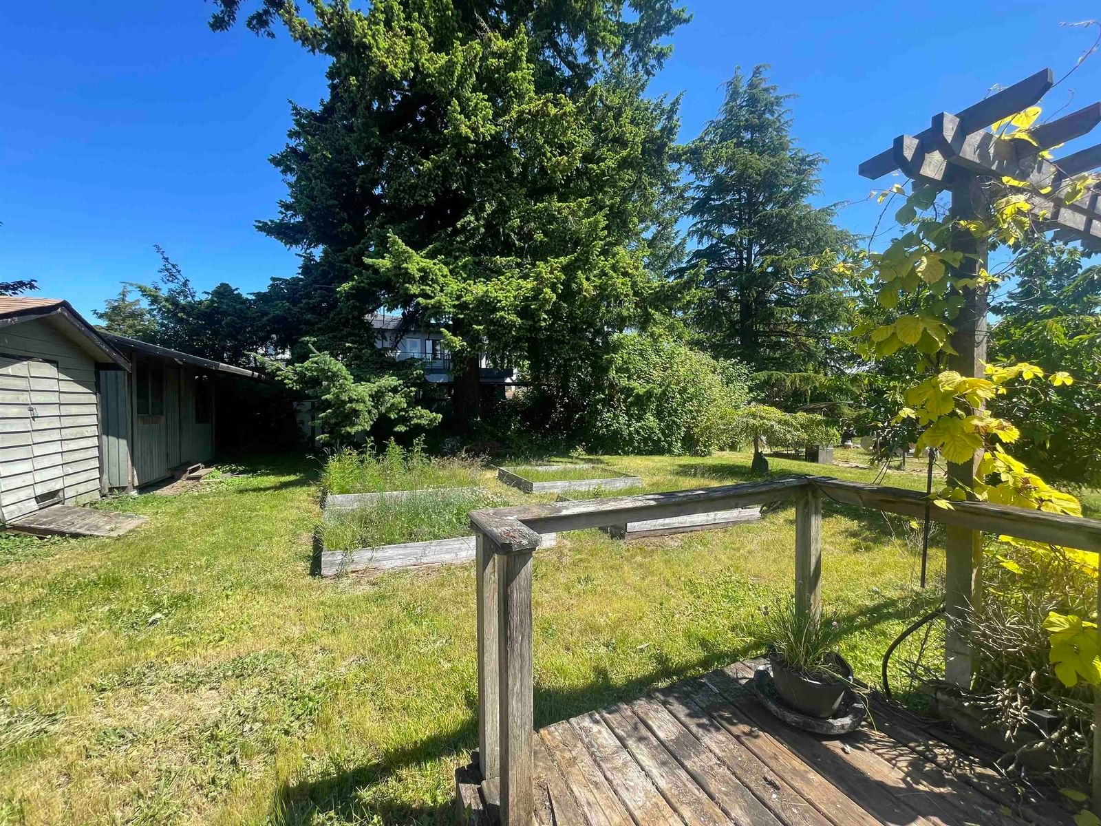 Listing Image 16