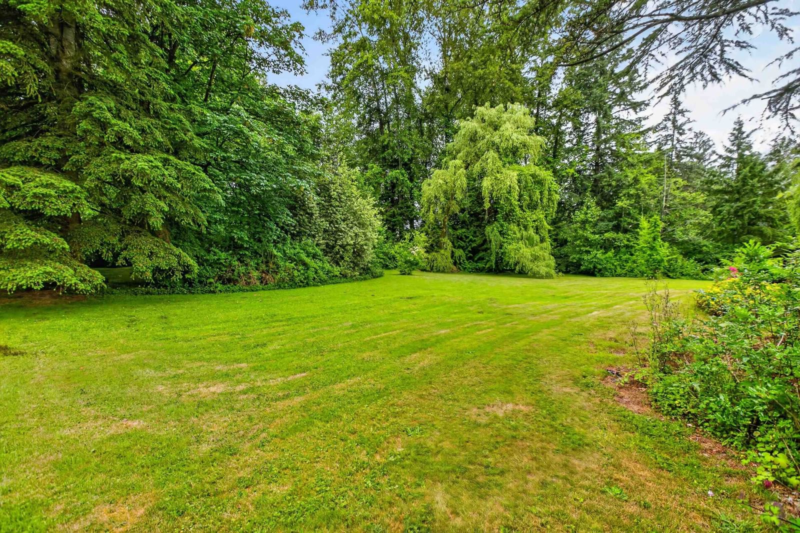 Listing Image 34