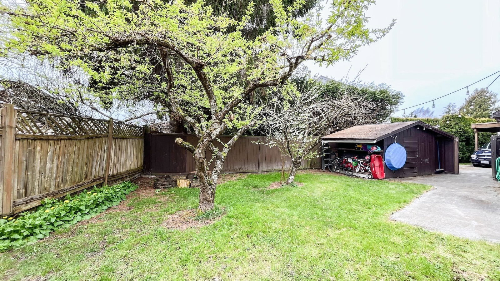 Listing Image 29