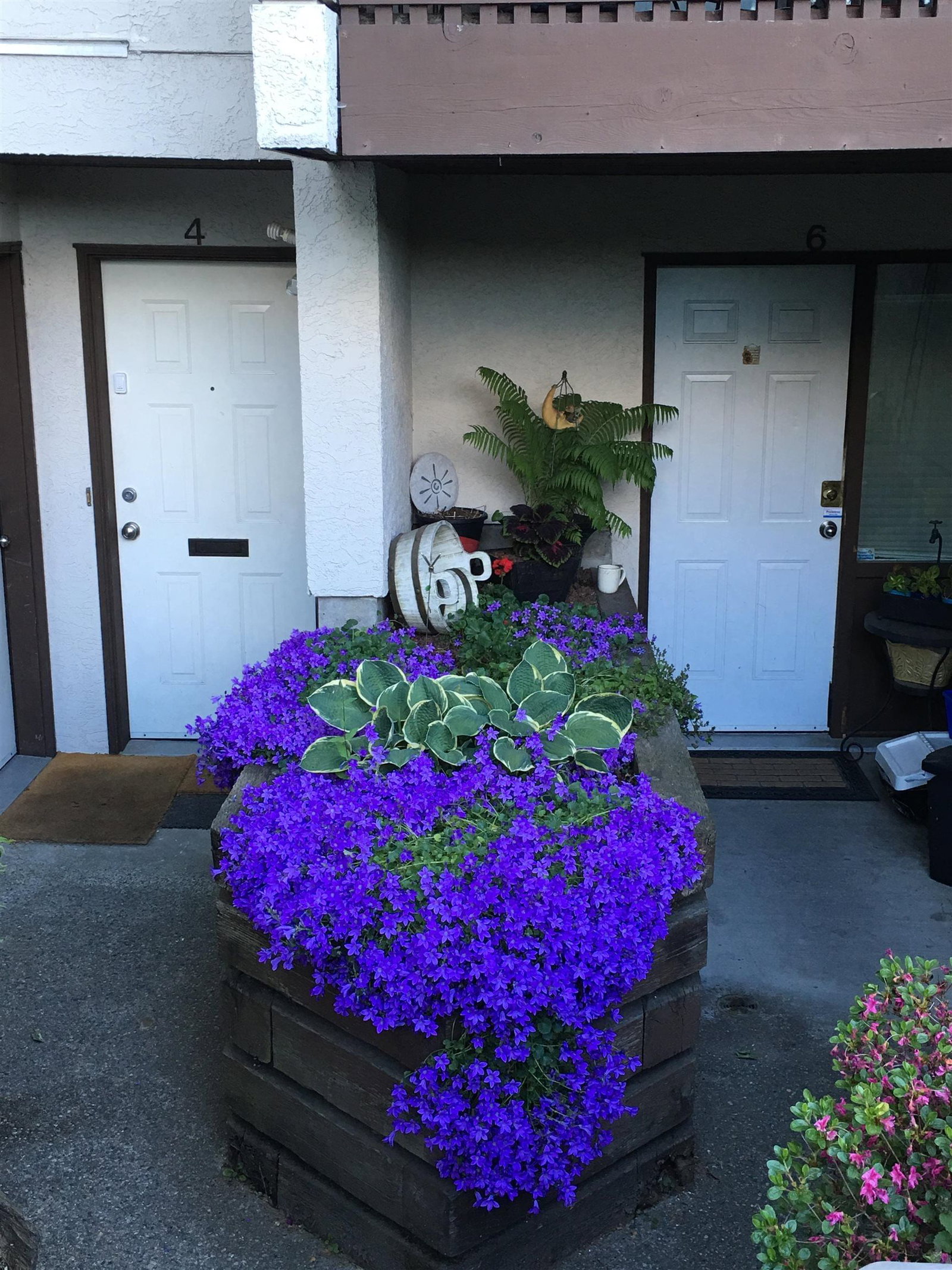 Listing Image 37