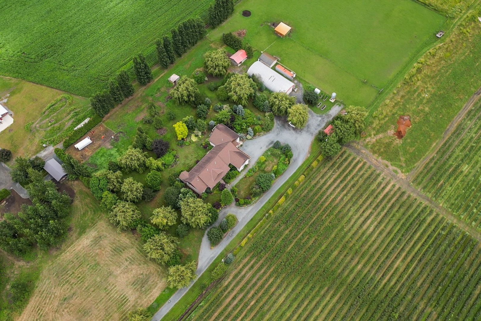 Listing Image 37