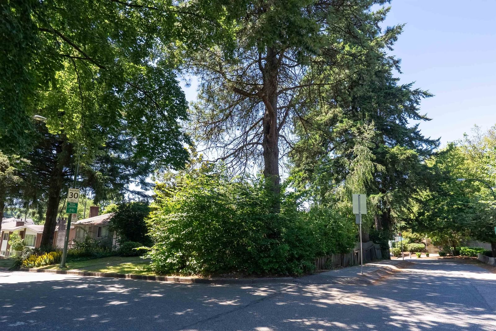 Listing Image 27