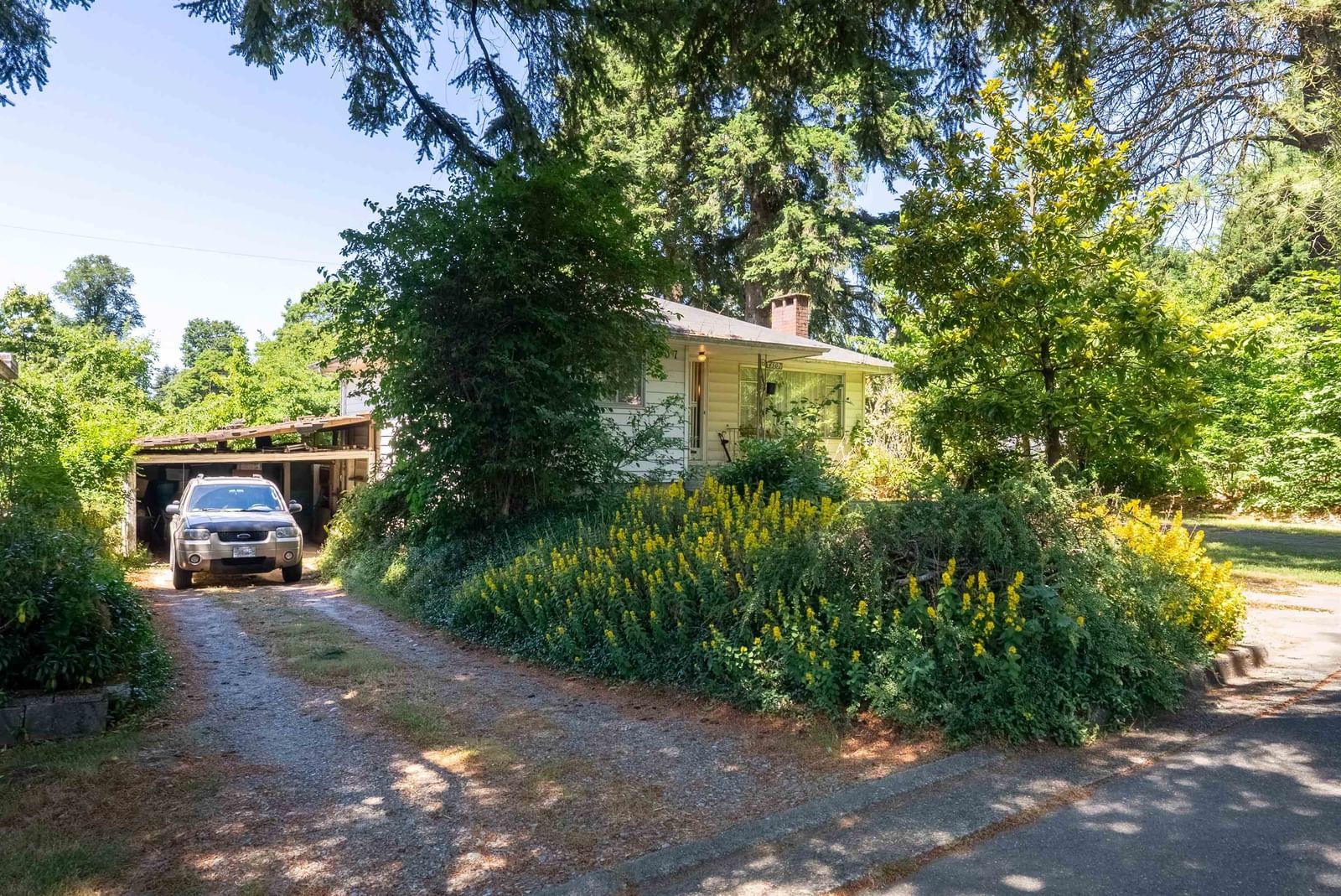 Listing Image 29
