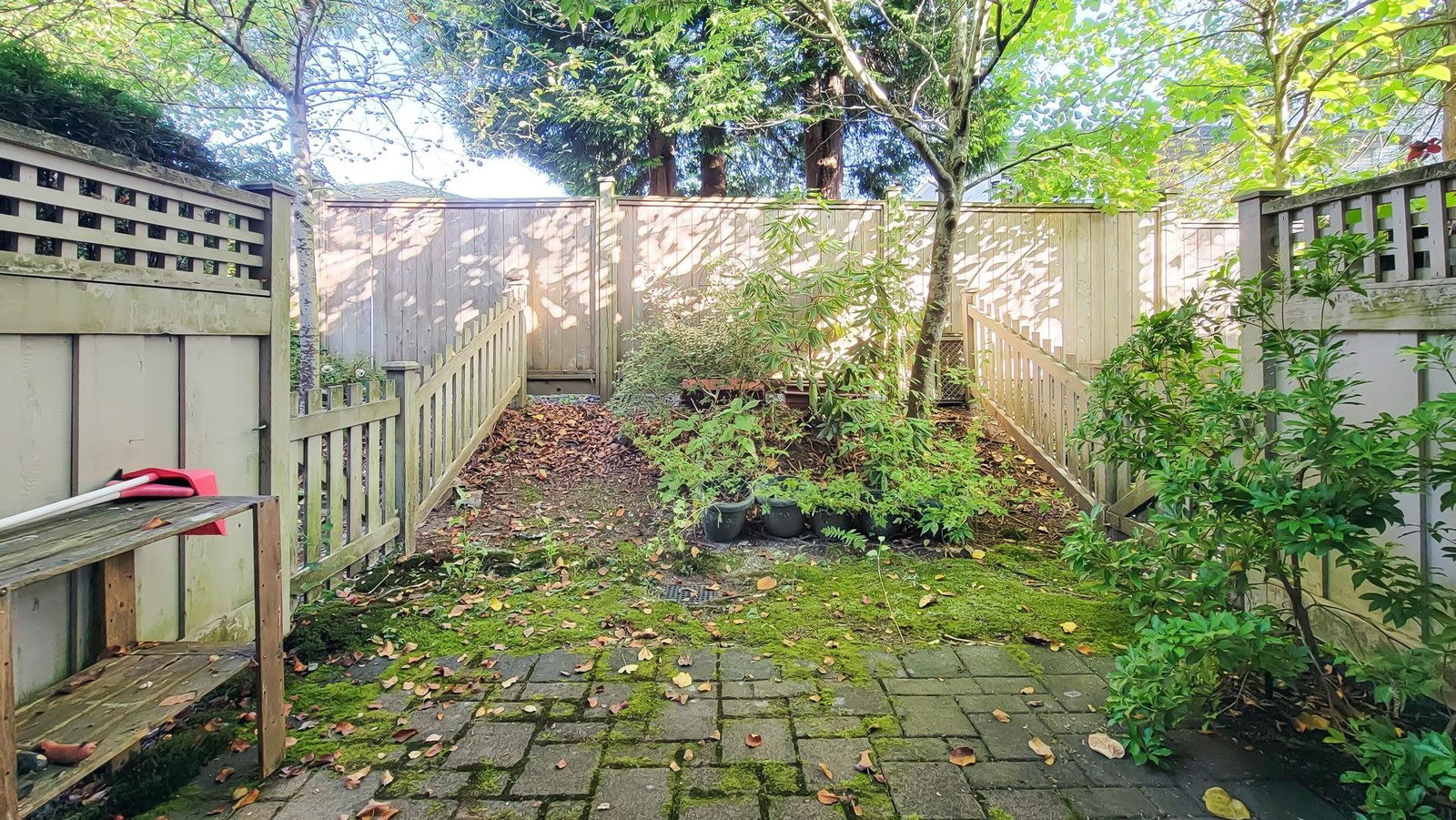 Listing Image 30