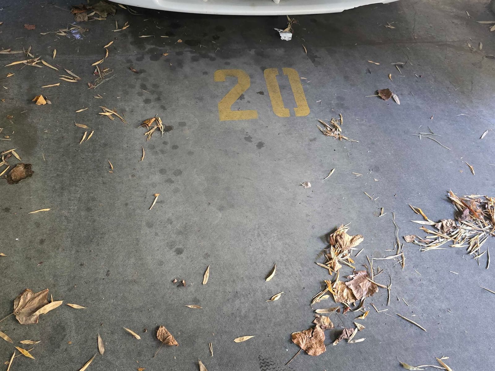 Listing Image 22