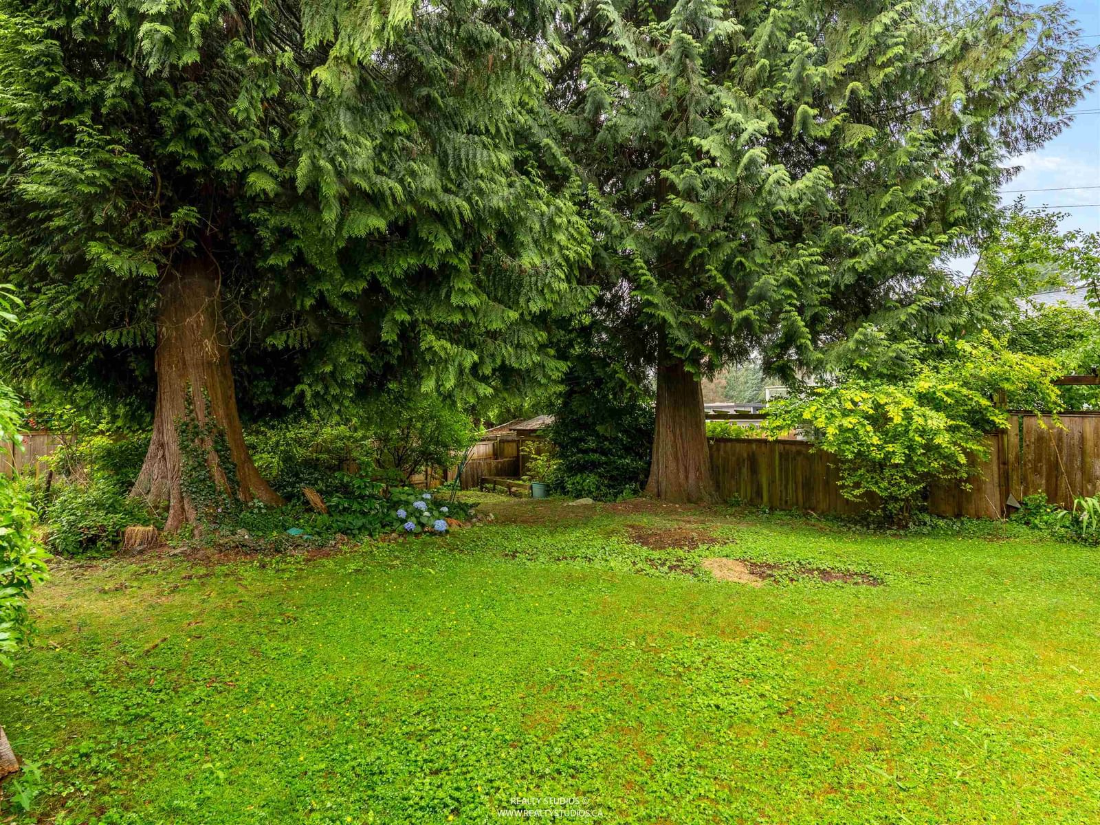 Listing Image 26