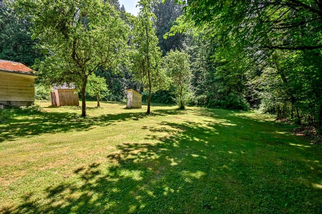Listing Image 38