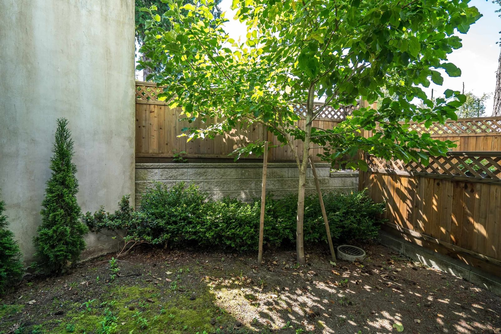 Listing Image 39