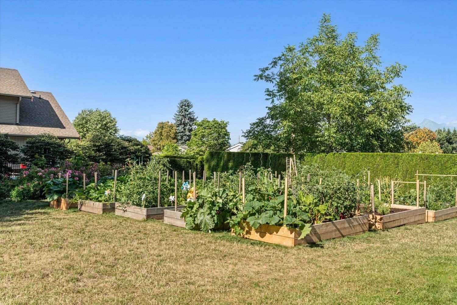 Listing Image 28