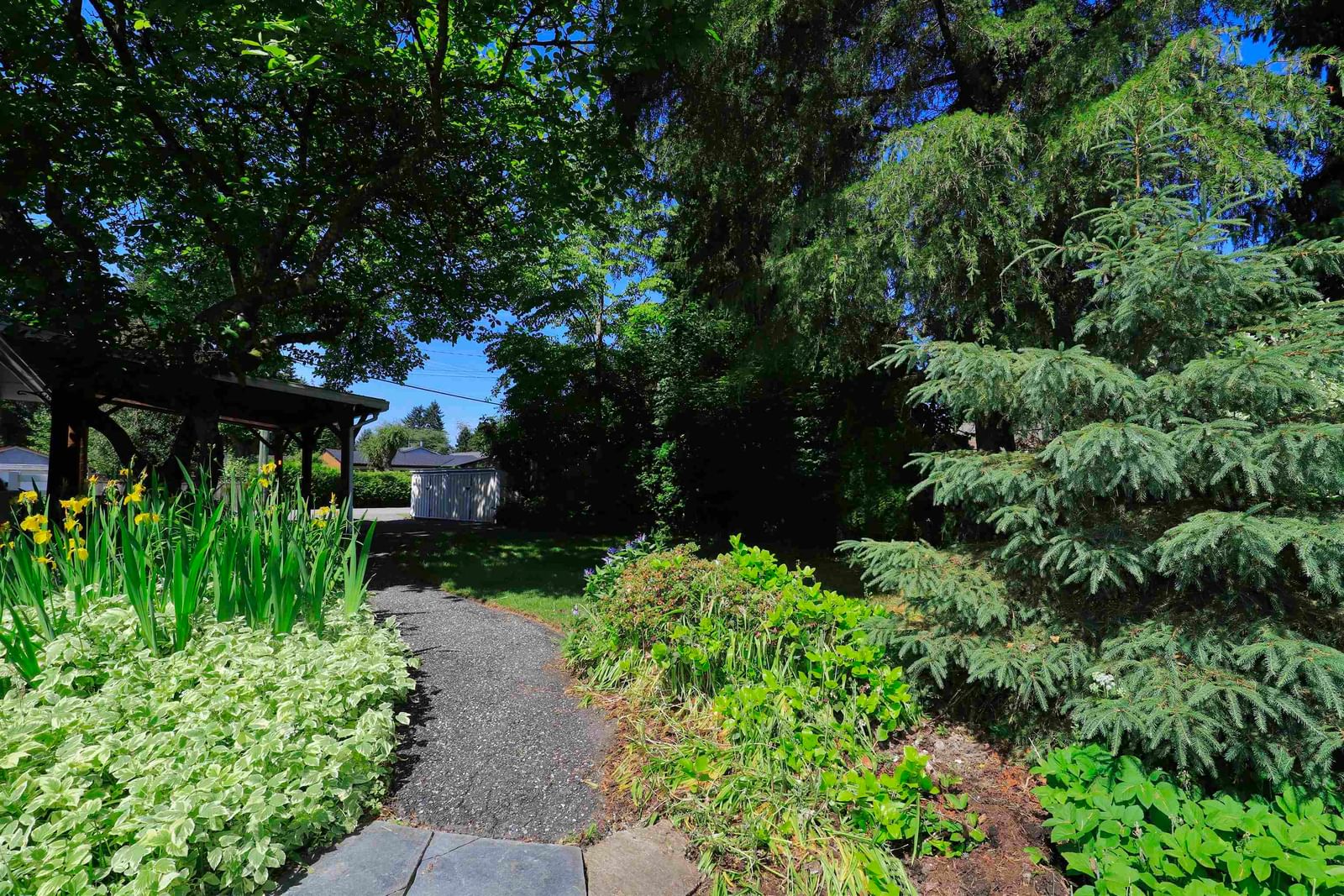 Listing Image 32