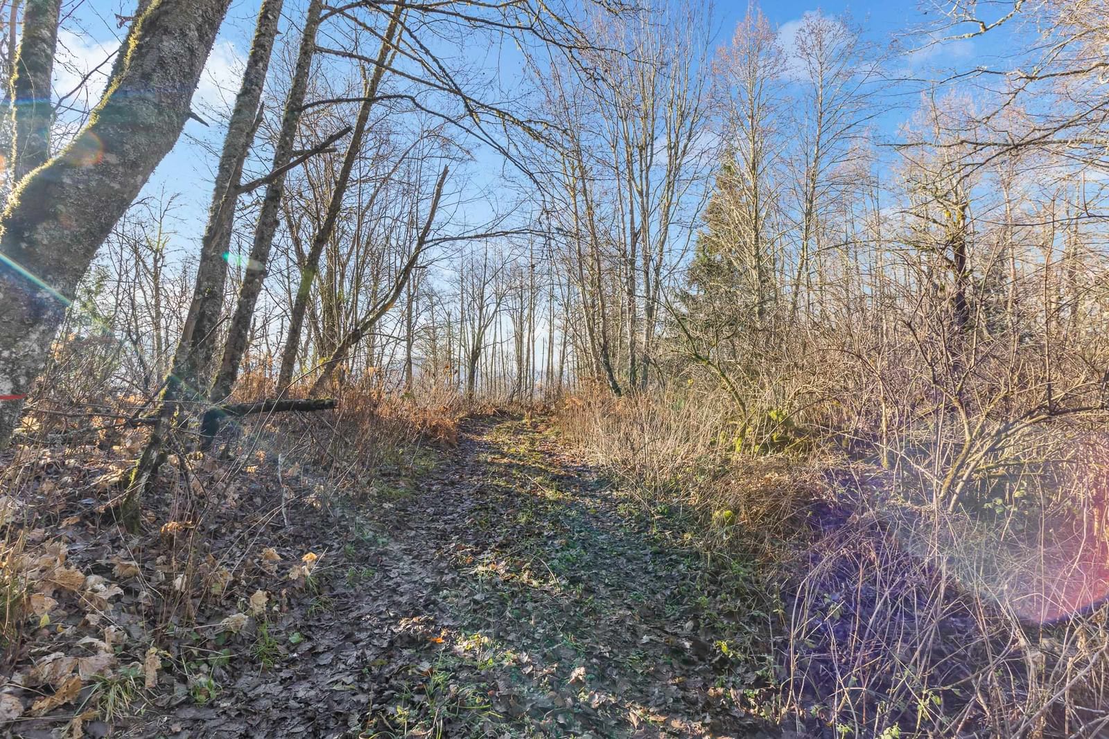 Listing Image 40