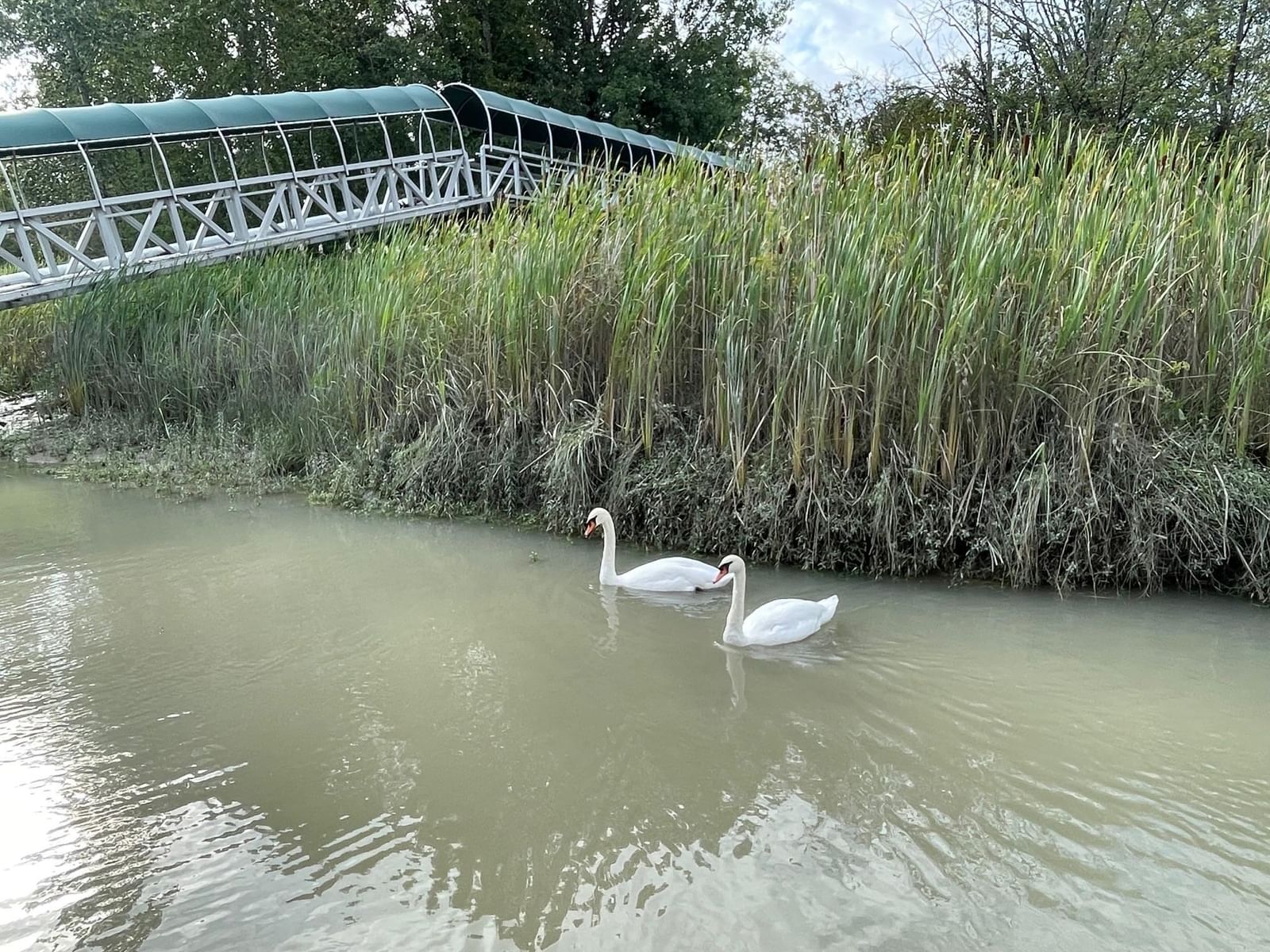 Listing Image 39