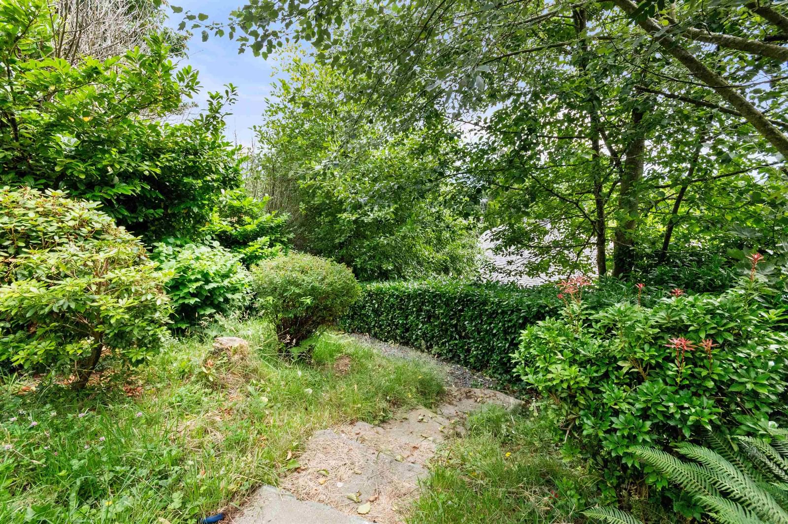 Listing Image 37