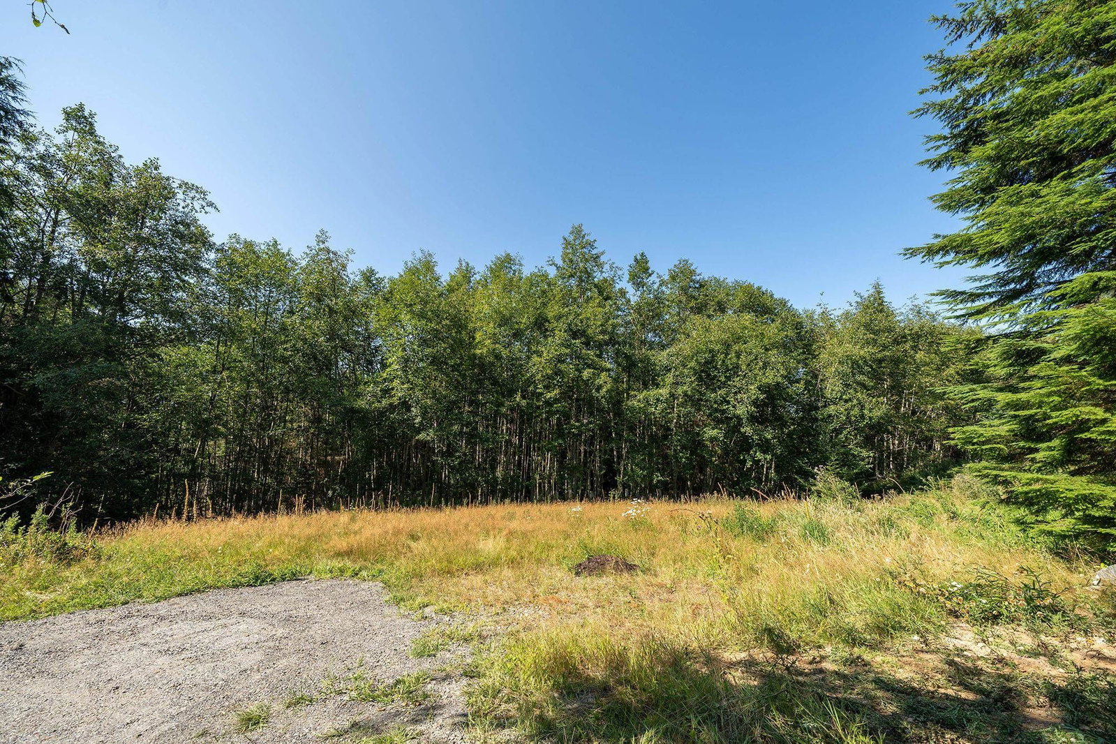 Listing Image 37