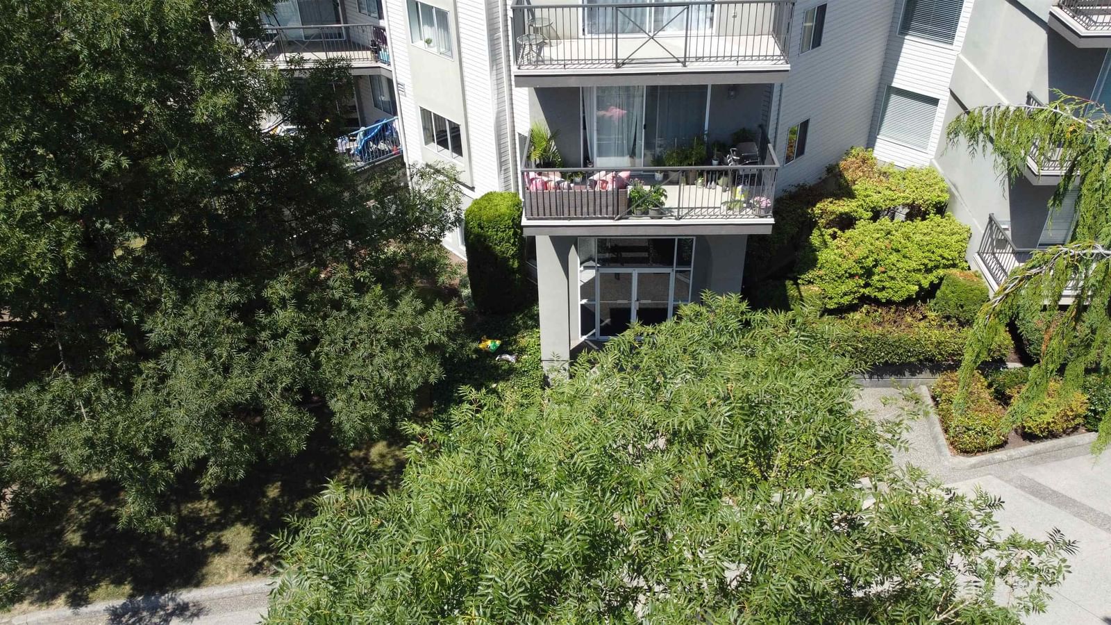 Listing Image 12