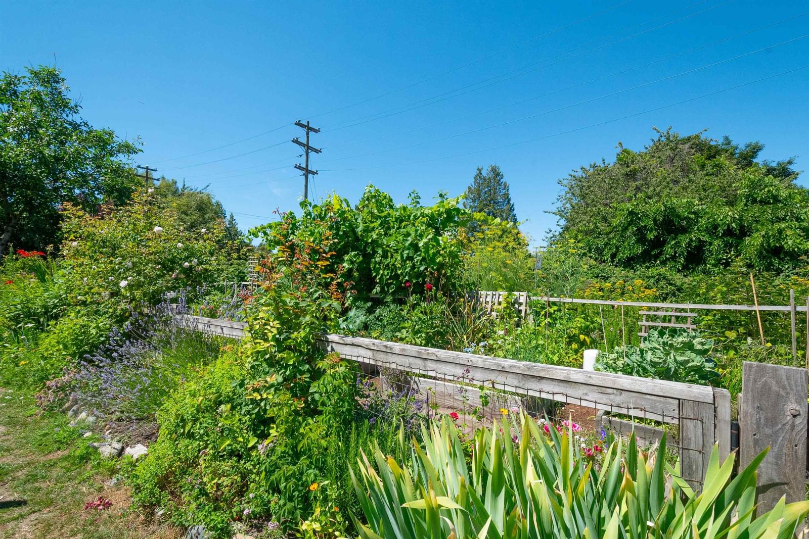 Listing Image 19