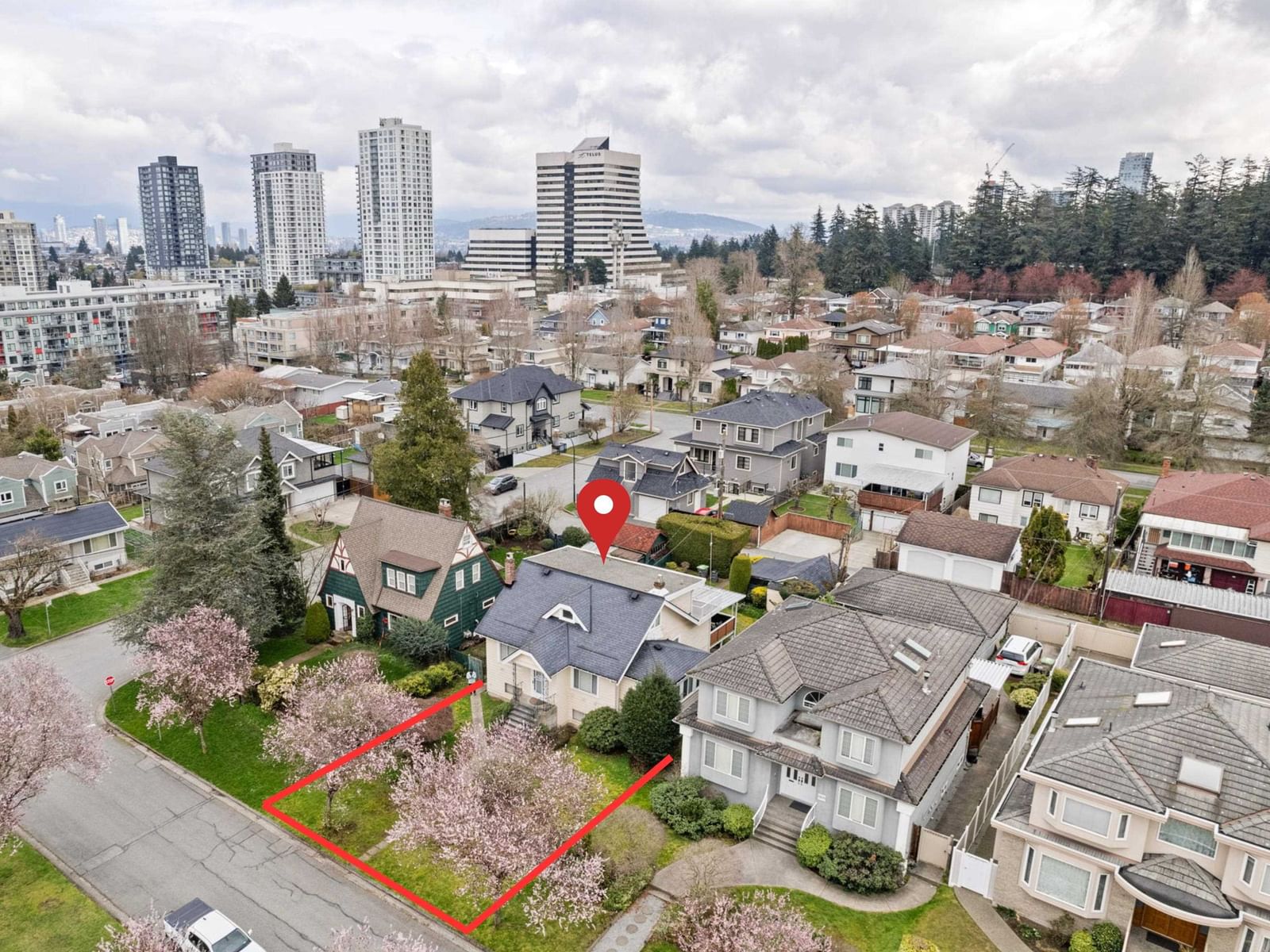 Listing Image 2