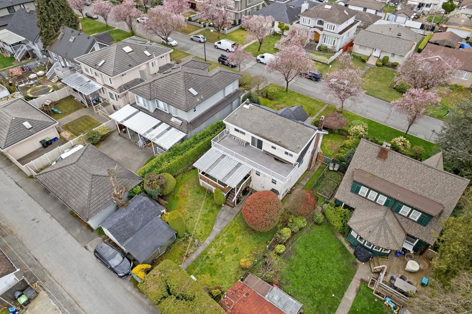 Listing Image 7