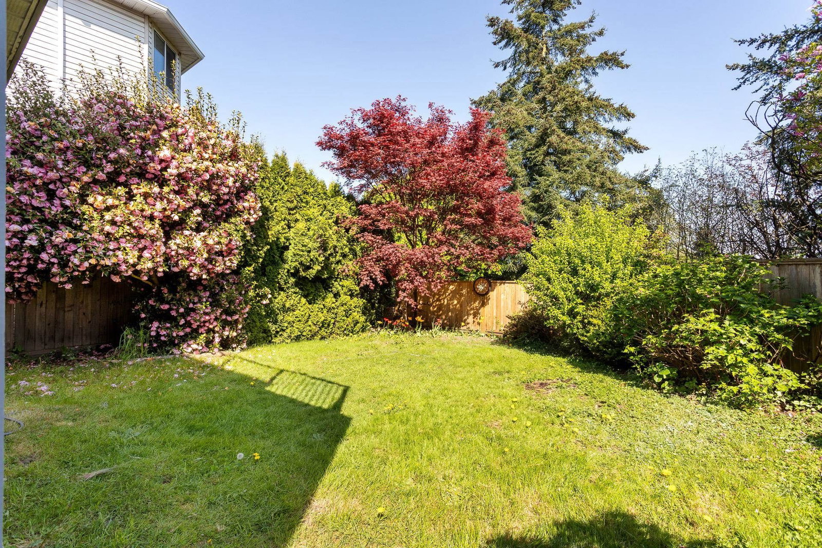 Listing Image 39