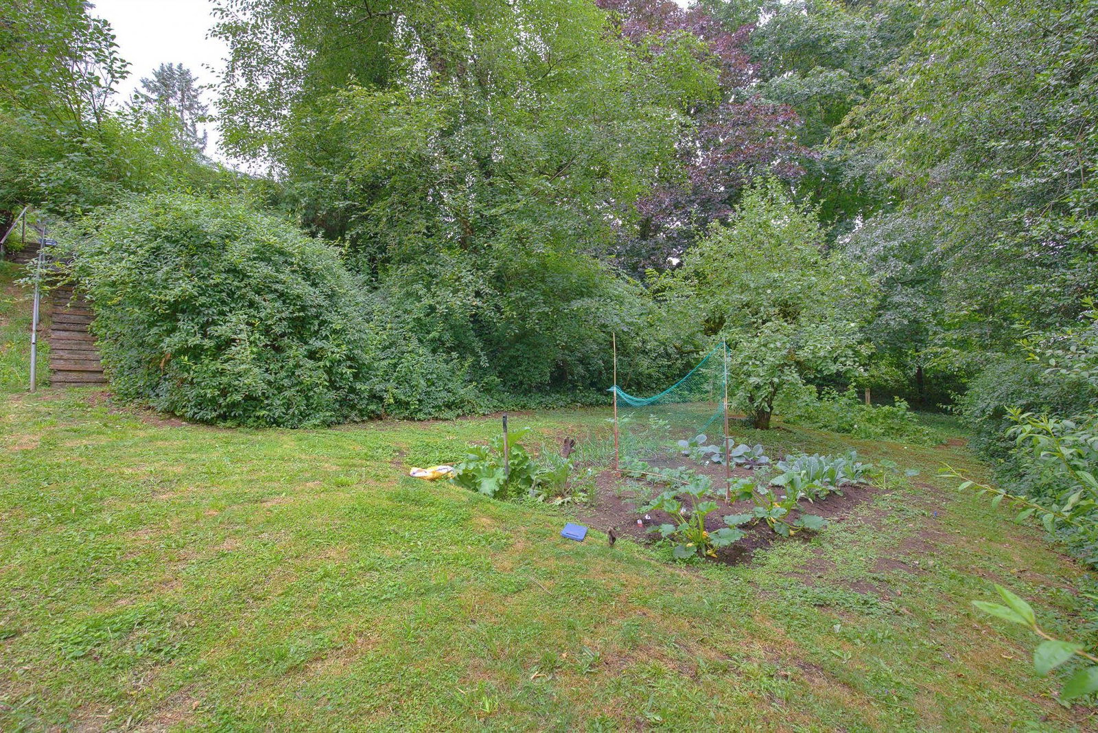 Listing Image 38