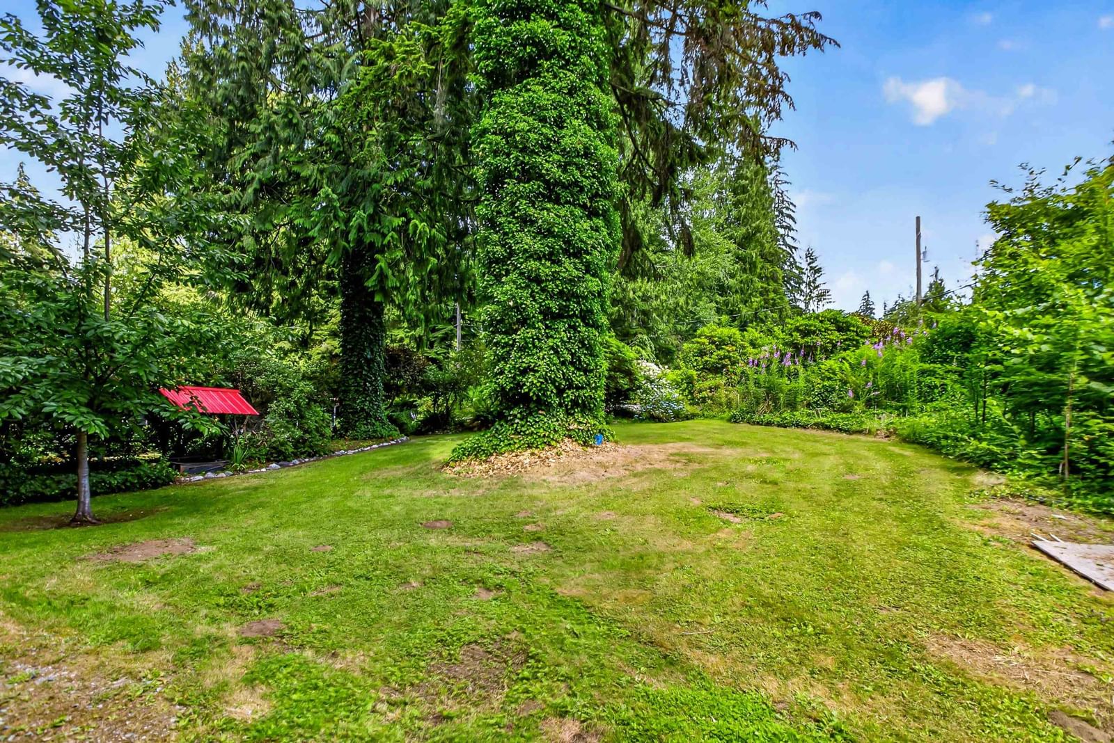 Listing Image 35