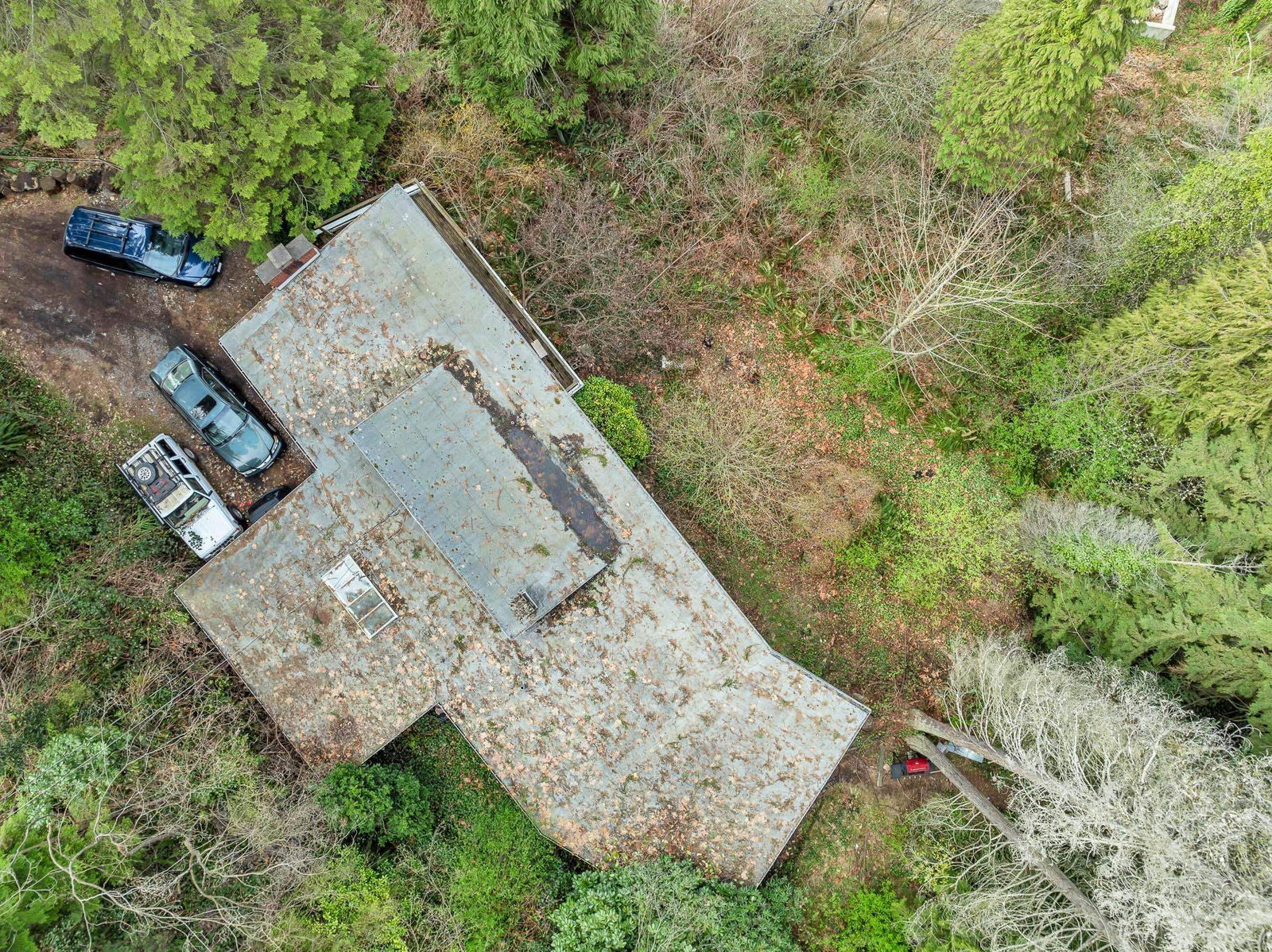 Listing Image 18