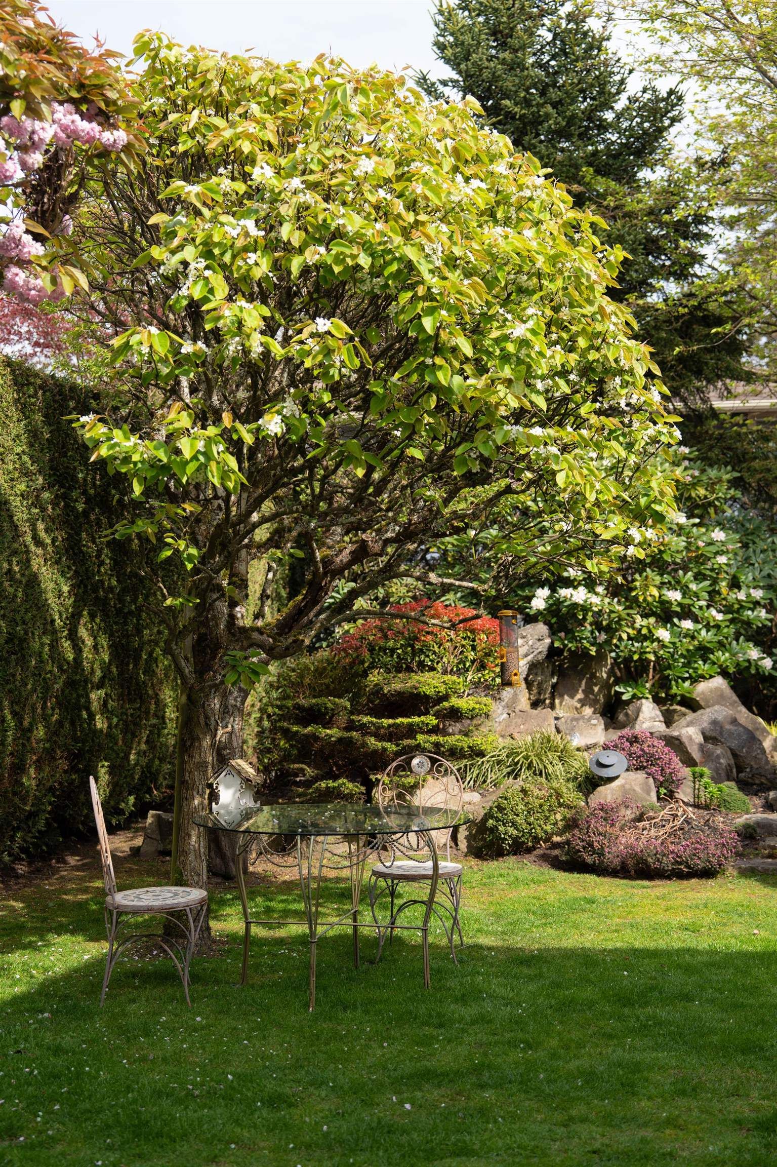 Listing Image 34