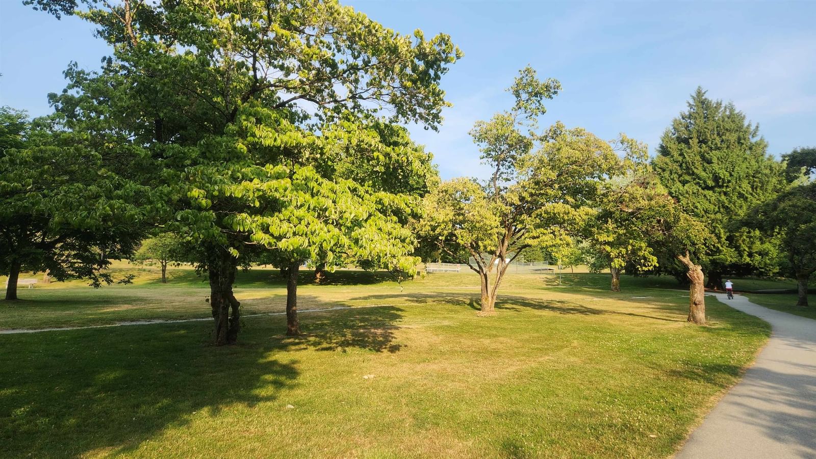 Listing Image 17