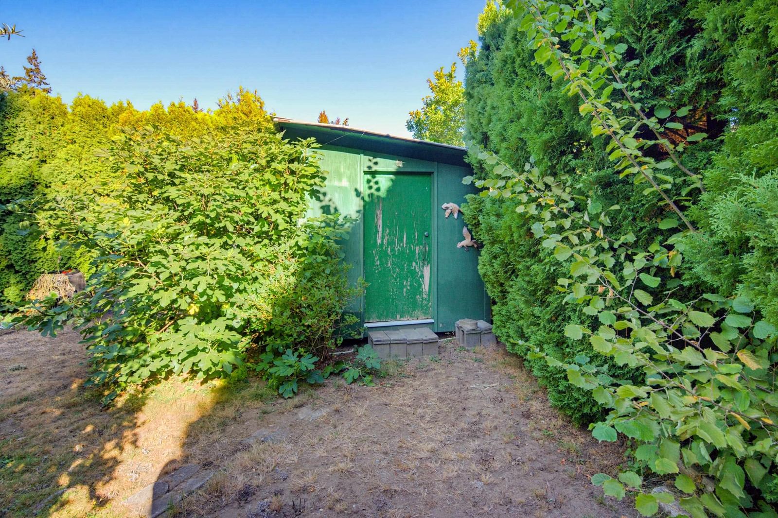 Listing Image 37