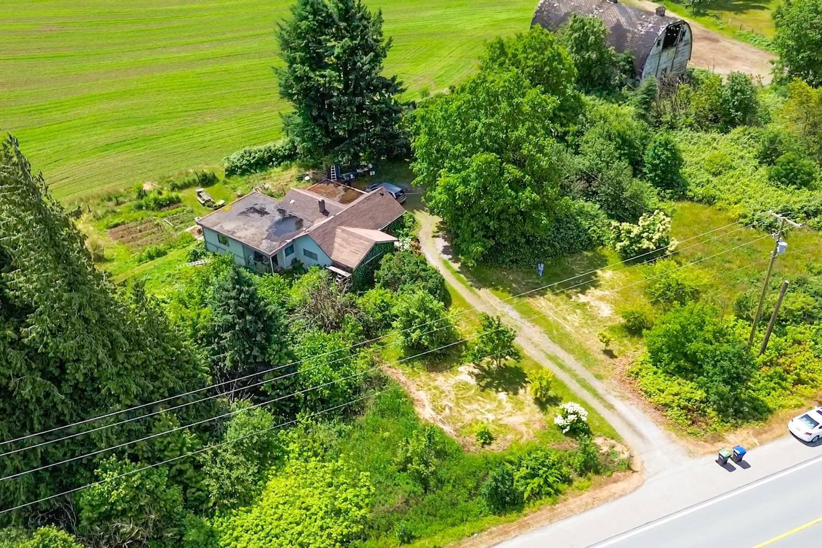 Listing Image 12