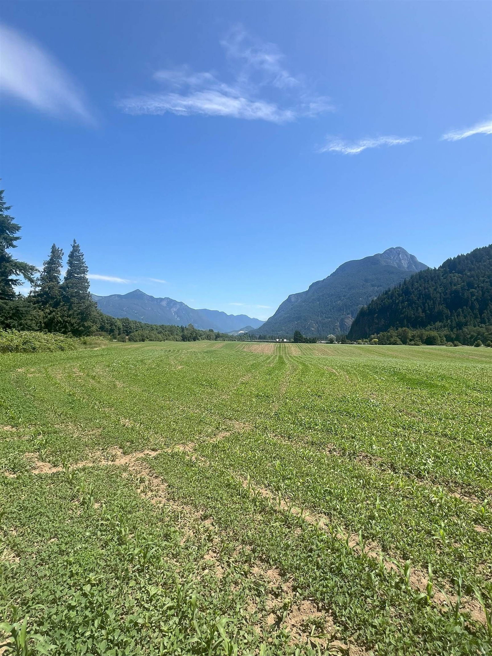 Listing Image 24