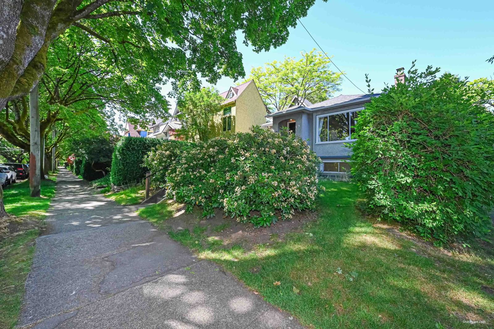 Listing Image 4