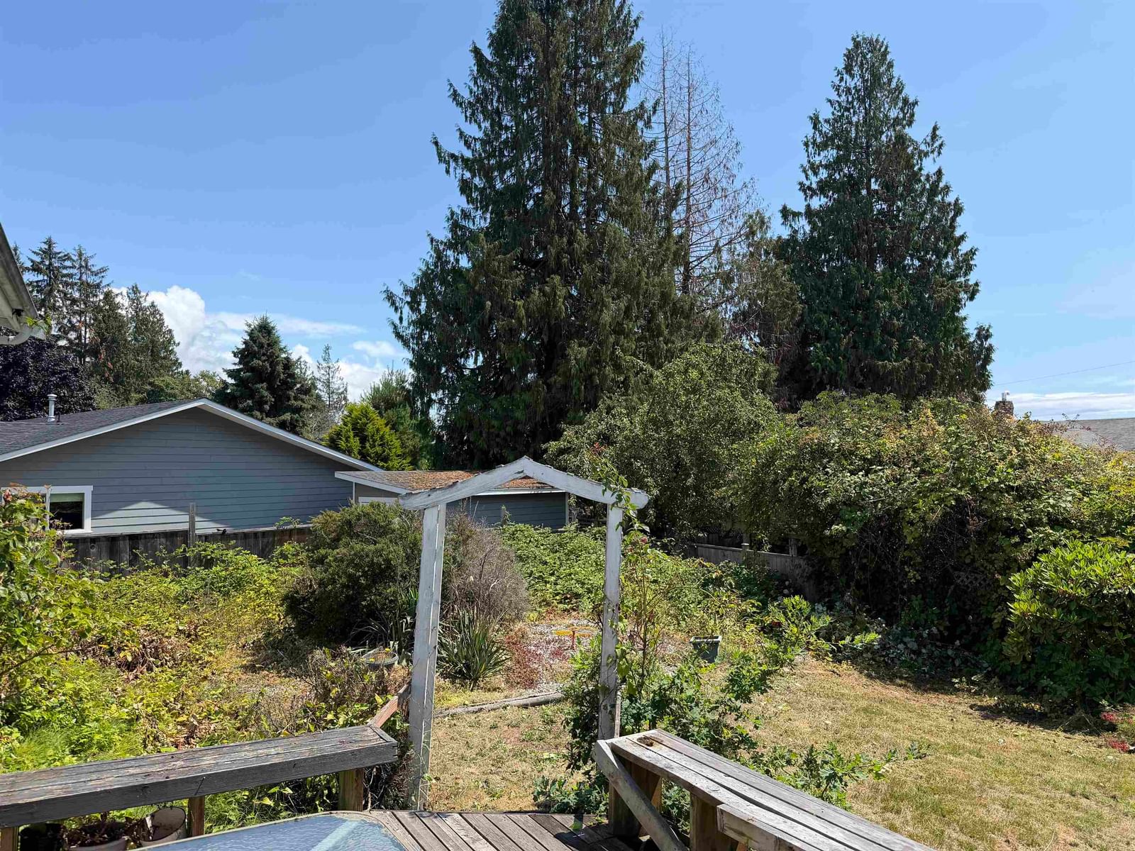 Listing Image 29