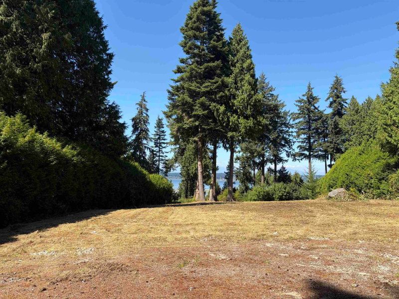 13005 Crescent Road