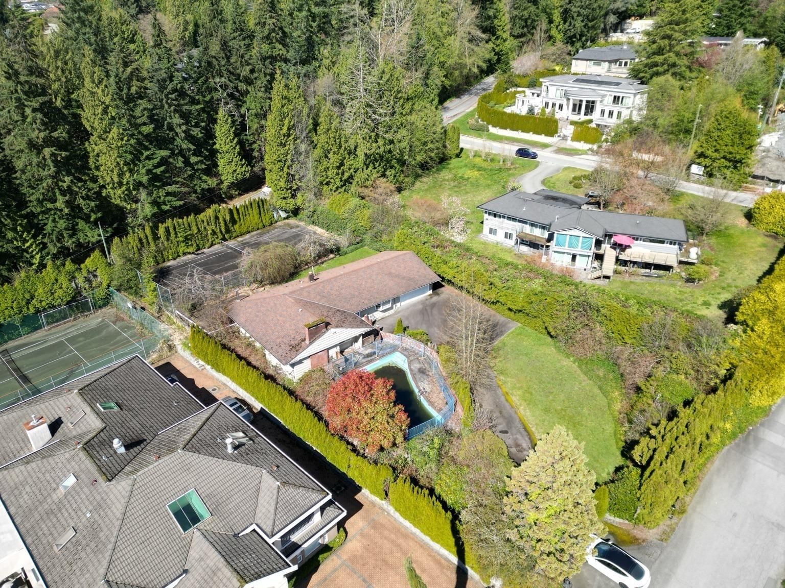 Listing Image 10