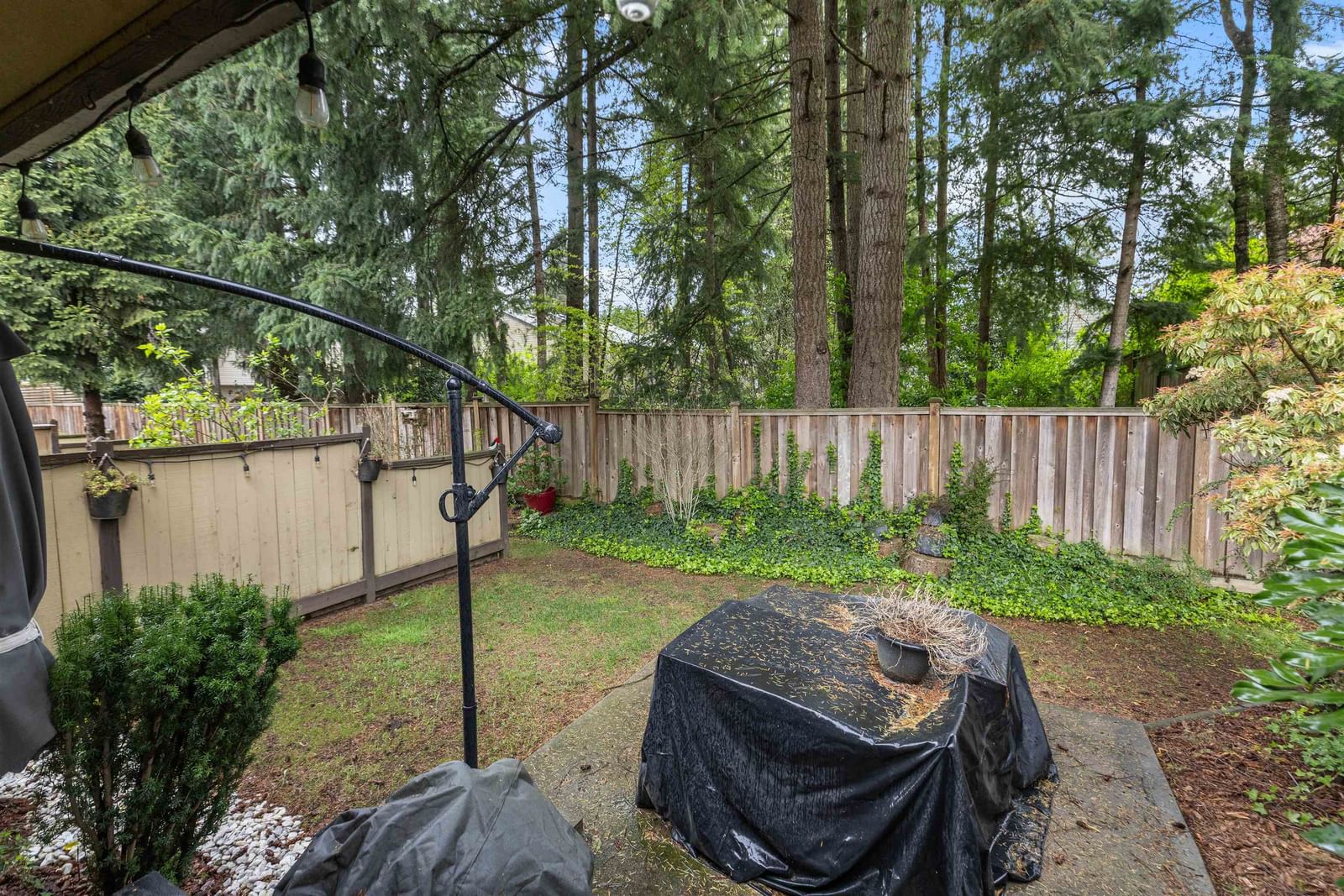 Listing Image 28