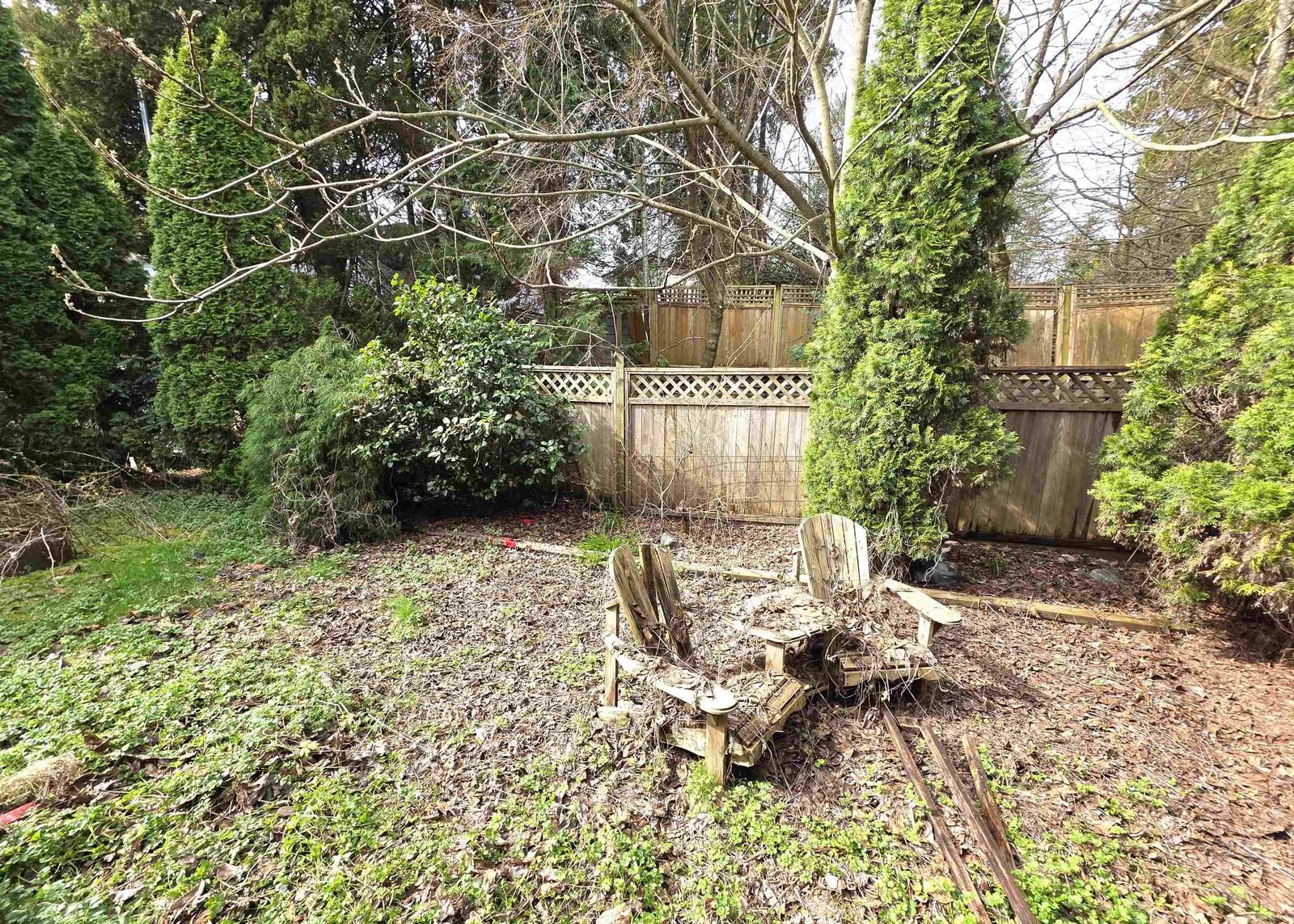 Listing Image 25