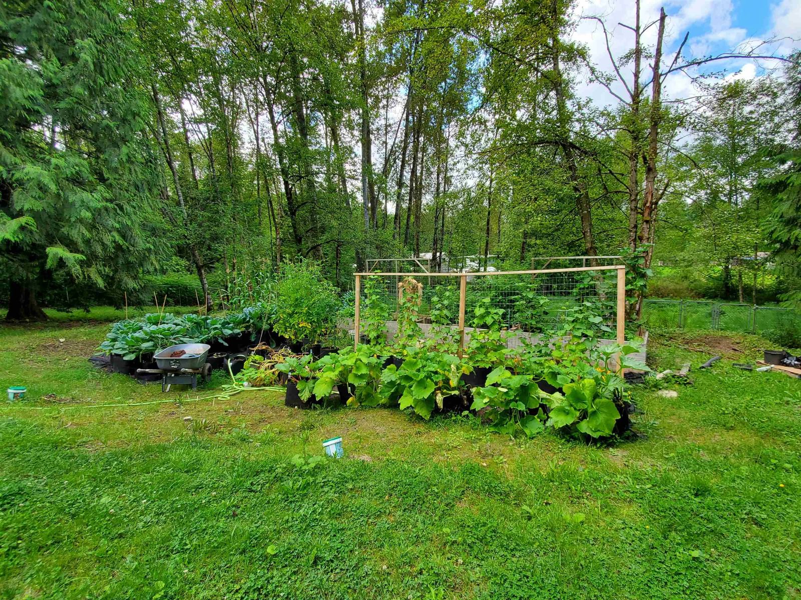 Listing Image 29