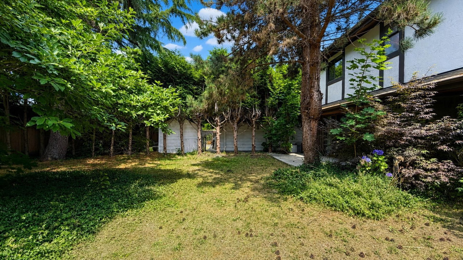 Listing Image 37