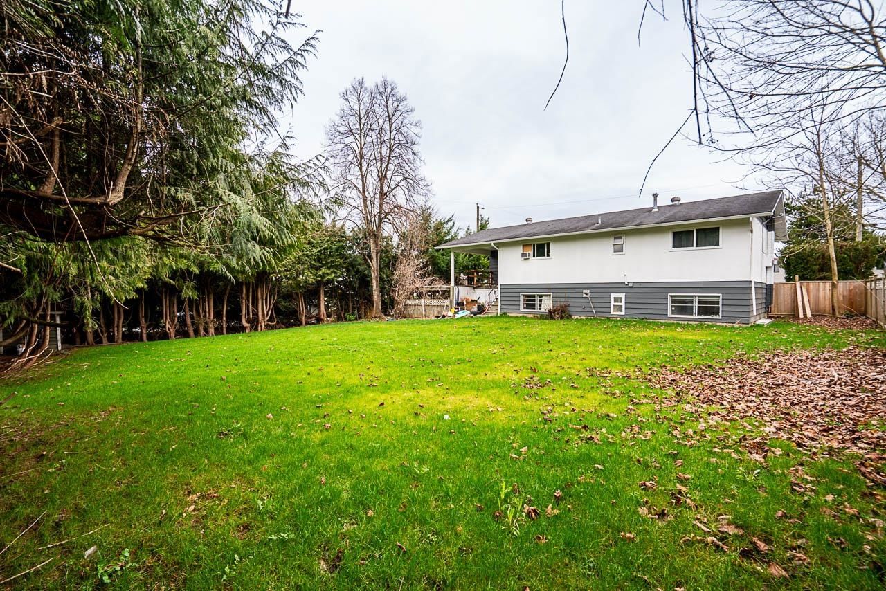 Listing Image 19