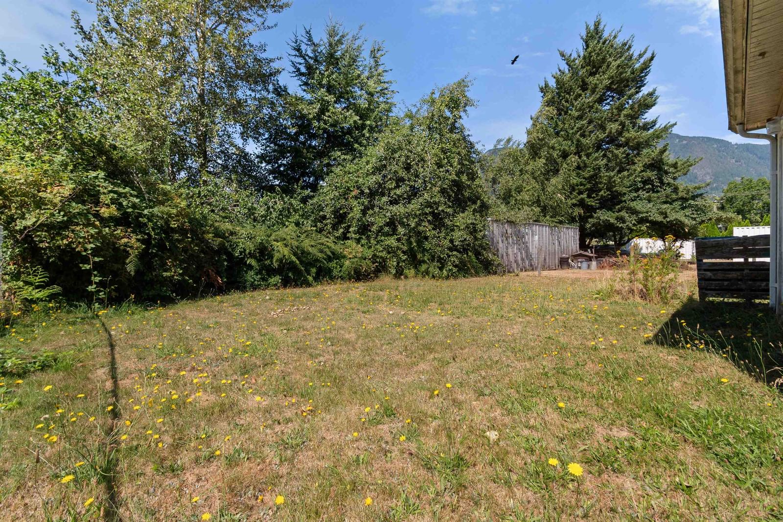 Listing Image 32