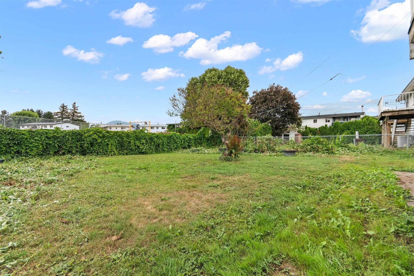 Listing Image 6